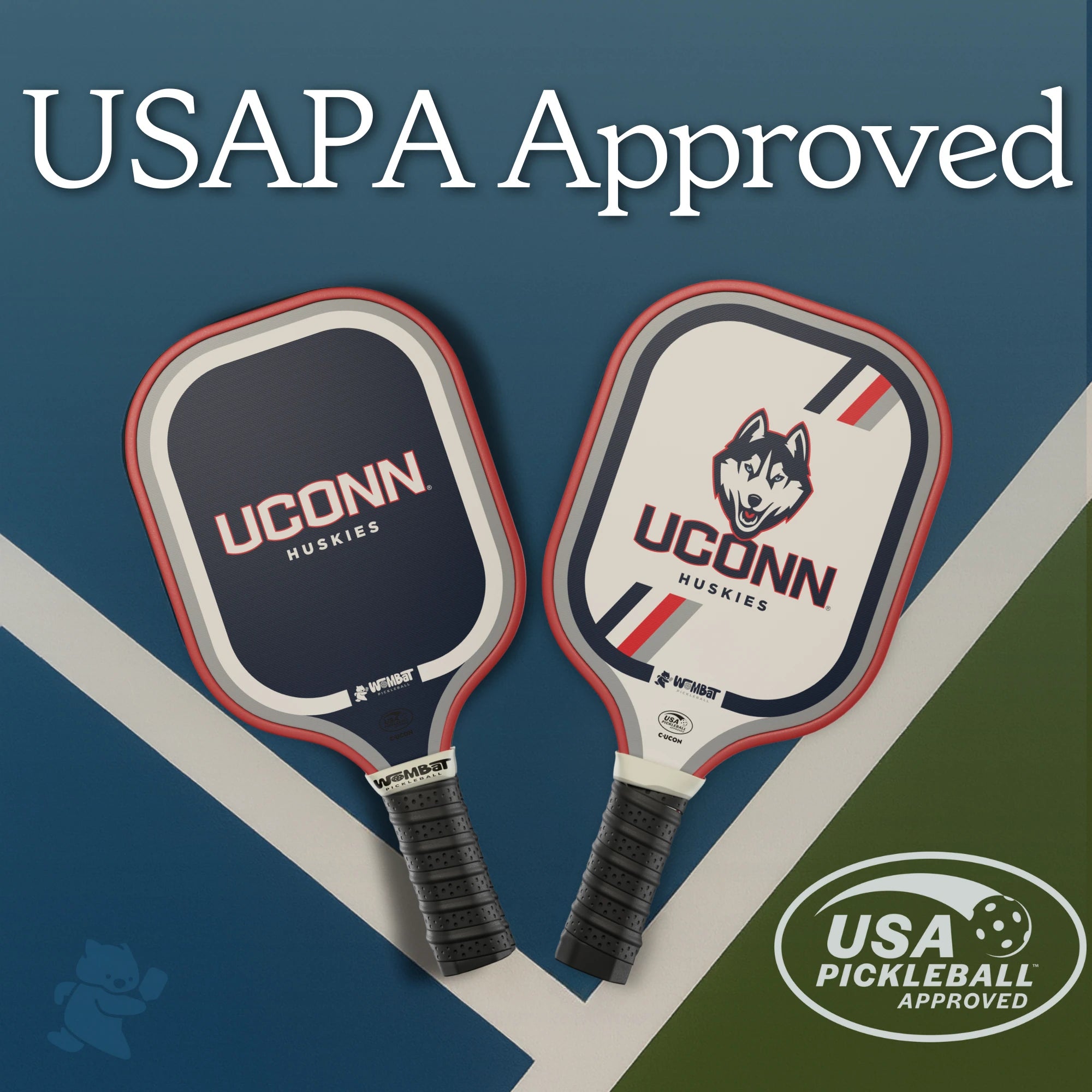 Connecticut Huskies- 16mm Paddle